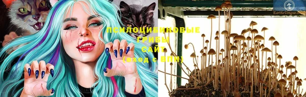 Альфа ПВП Балабаново