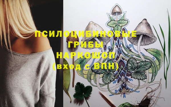 дмт Арсеньев