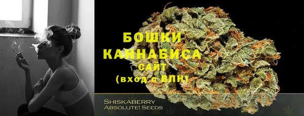 дмт Арсеньев