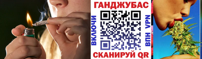 Канабис семена  mega tor  Светлогорск 